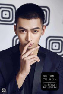 国外简历超厉害明星,揭秘超厉害明星的辉煌历程