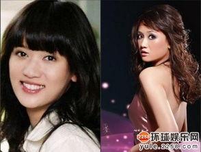 惨遭糟蹋的女星视频,女星视频惨遭恶意传播事件回顾