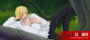 海贼王视频791,路飞与伙伴们的冒险新篇章，揭开神秘岛屿的秘密