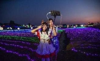 武汉明星住址,揭秘明星们的隐秘居住地”