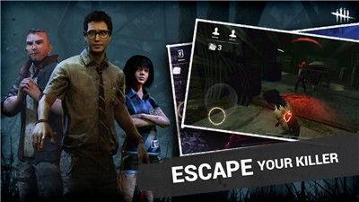 黎明杀鸡更新爆料了吗视频,精彩内容抢先看！