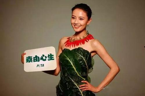 食素的明星,揭秘食素明星的时尚与健康生活”