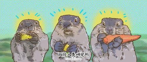 土拨鼠之日 在线播放,穿越时空的奇妙循环之旅