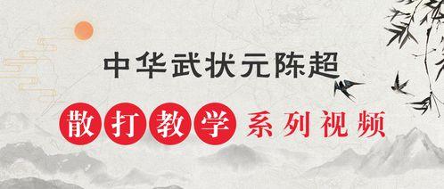 散打沙包教学视频,跟随教学视频提升实战能力