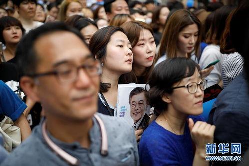 日本pr0n,文化背景与影响解析