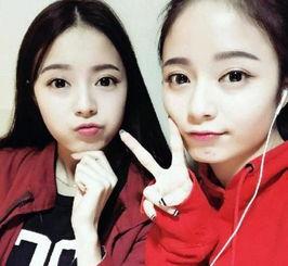 双胞胎姐妹无码 下载,揭秘双胞胎姐妹无码下载背后的故事