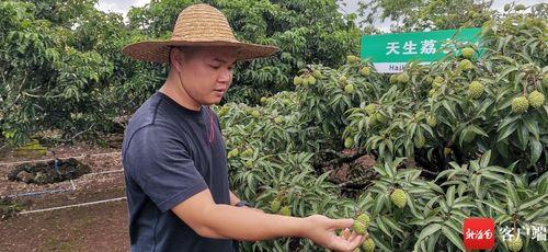 唐山爆料人成植物人视频,真相背后引人深思