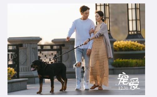 宠爱电影手机在线播放,温情治愈，手机在线播放，共度温馨时光