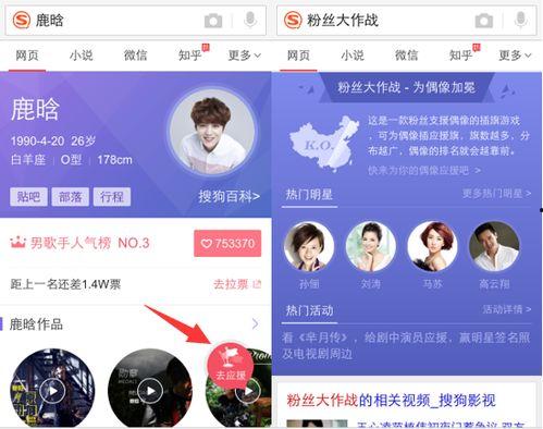 明星应援旗怎么插,打造专属粉丝风采的指南