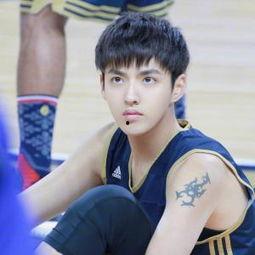 娱乐吃瓜君鹿晨辉,娱乐吃瓜界的风云人物