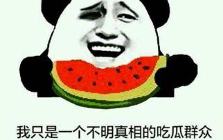 吃瓜群众们,吃瓜群众视角下的娱乐圈风云录