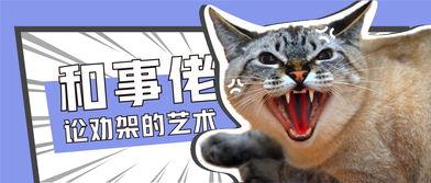 娱乐吃瓜酱小猫刀,揭秘娱乐圈背后的刀光剑影