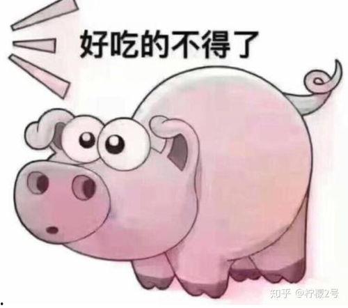 娱乐吃瓜酱猪猪视频,揭秘热门视频背后的趣味故事